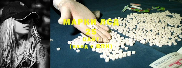 ПСИЛОЦИБИНОВЫЕ ГРИБЫ Баксан